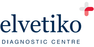 elvetiko.com-logo